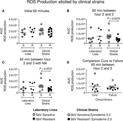 Neutrophil Activation: Influence of Antimony Tolerant and Susceptible Clinical Strains of L. (V.) panamensis and Meglumine Antimoniate